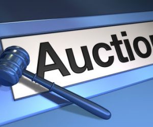 Một số chính sách pháp luật mới nổi bật 5 tháng đầu năm 2019