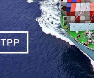 Ngành dịch vụ hậu cần: Mở rộng quy mô thị trường nhờ CPTPP