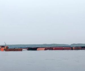 Hơn 10.000 tấn hàng hóa bị “nhấn chìm” do tai nạn hàng hải trong năm 2019