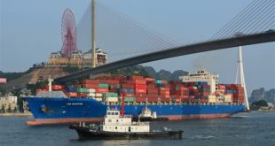 Cần những thủ tục gì để tàu biển được hoãn đăng kiểm mùa dịch Covid-19?