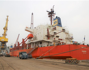 Cảng Hải Phòng đón 3 tàu kích thước lớn vào làm hàng