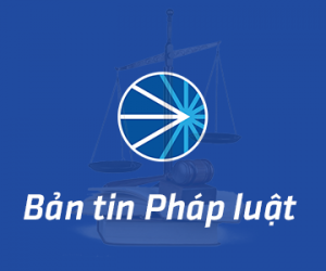 Bản tin Pháp luật tháng 4/2020