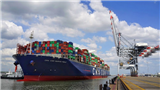 Mối lo hãng tàu tăng giá xếp dỡ vô tội vạ