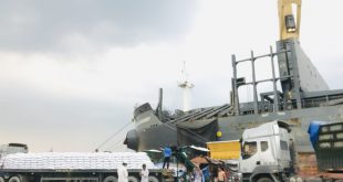 Huy động nhiều cảng biển vận chuyển miễn phí hàng hóa hỗ trợ TP.HCM